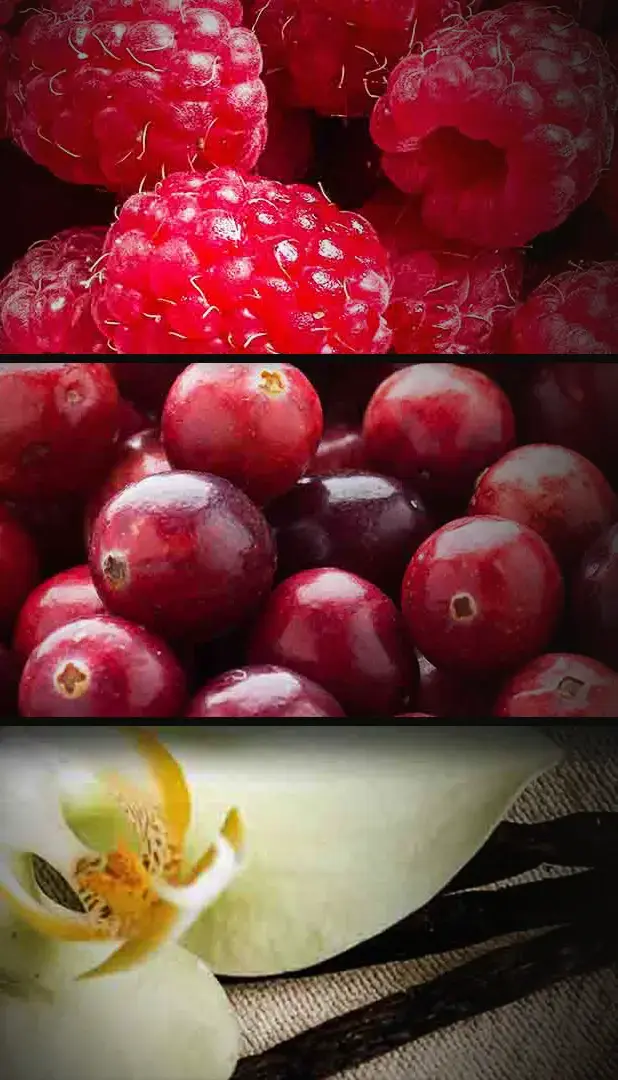 Piramide di fragranze in una beuta del profumo per ambiente Berry Sensation