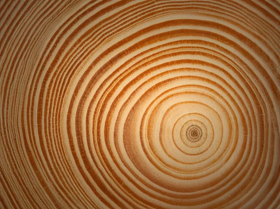 Woody foto a colori