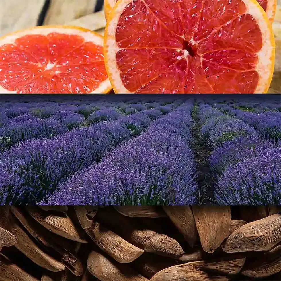 Vůně do pokoje Alpha Omega: Uklidňující směs citronového oleje a levandule se základem ze santalového, cedrového dřeva a pižma pro hlubokou relaxaci