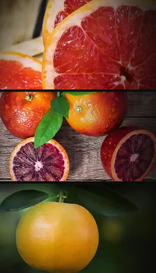 Pyramide de parfums dans un erlenmeyer du Parfum d'ambiance Orange-Grapefruit