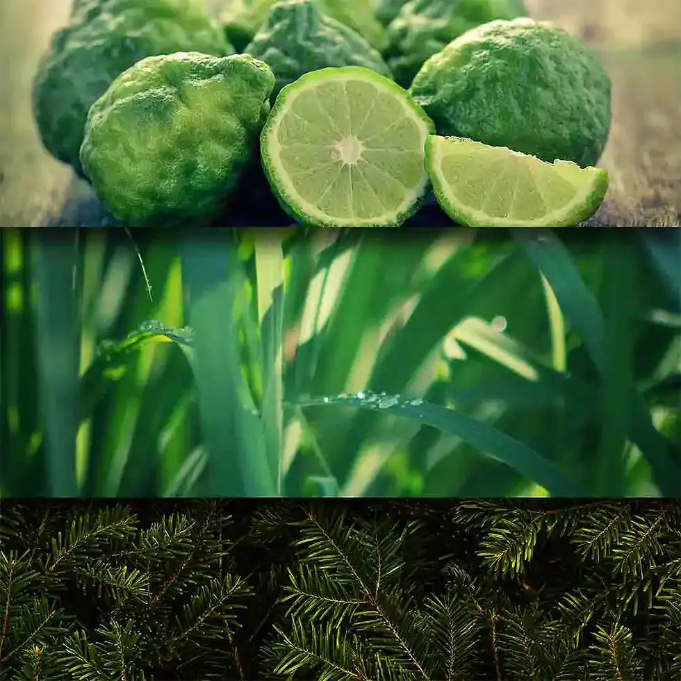 Vůně do pokoje Wellness: Odpočinek od každodenního života s citronovou trávou, rozmarýnem a bergamotem. Éterická vůně.