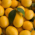 Raumduft-Lemon Oil-Duftpyramide zur Raumbeduftung von Duftmarketing by REIMA AirConcept