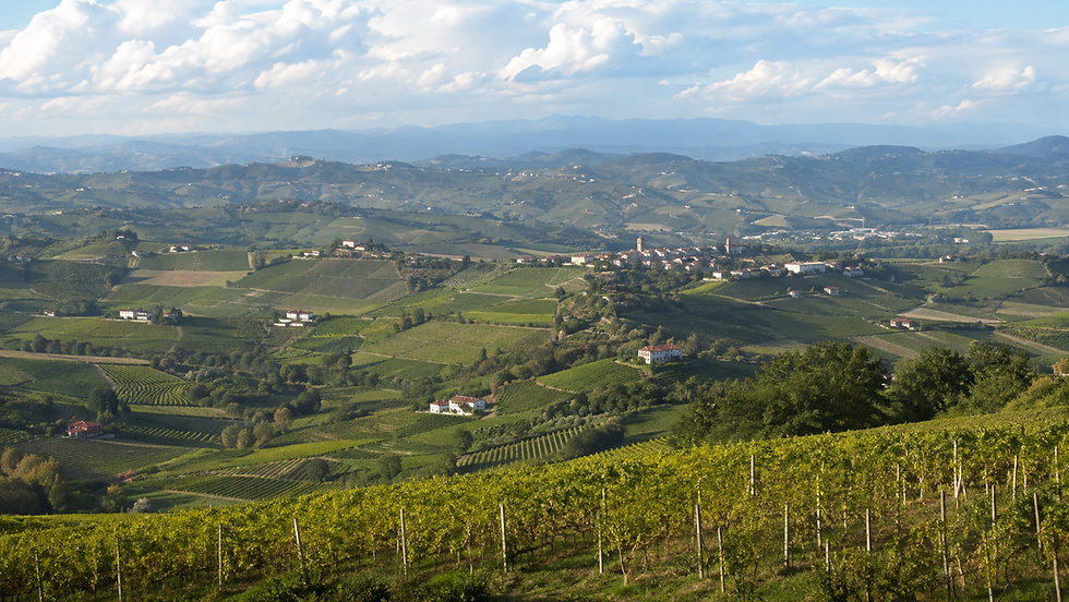 Vista panoramica delle colline del Monferrato da Acqui Terme