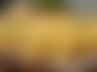 Scopri la Ricetta Originale degli Agnolotti del Plin Piemontesi e la loro Preparazione Tradizionale