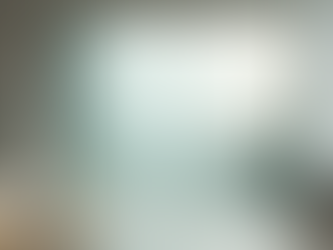 Guida alle Porte in Vetro a Torino: Eleganza e Luminosità per i Tuoi Interni