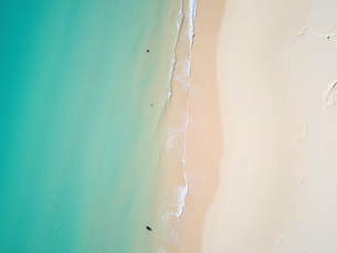 Scopri Boa Vista in 7 Giorni: Itinerario Ideale tra Spiagge e Avventure Locali