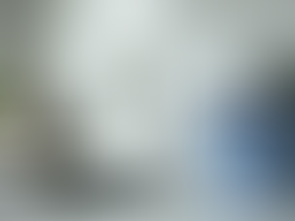 Acqua in Bottiglia o Depuratore Domestico: Quale Scegliere per Risparmio e Salute?