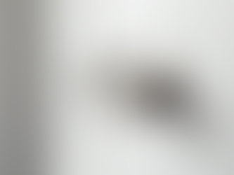 Maniglie Porte Finestre a Torino: Guida alla Scelta tra Moderno, Vintage e Minimalista