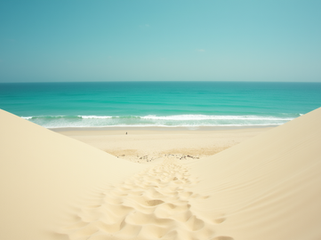Vivere Boa Vista in modo sostenibile: rispetto per la natura e la comunità locale