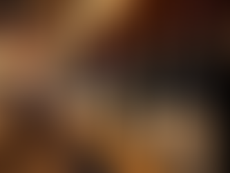 La selezione delle etichette nella carta vini di Black Torino compatibile con la nostra cucina