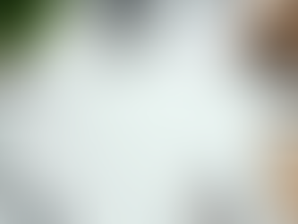 Come un ambiente ordinato potenzia la produttività e la concentrazione in ufficio