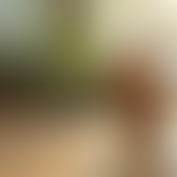 Rivoluzione della Pausa Caffè: Scopri come le Aziende Stanno Abbracciando la Sostenibilità con #BASTAPLASTICA