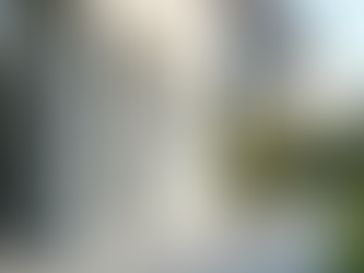 Infissi Sostenibili a Torino: Scopri i Vantaggi di Materiali Riciclati e Innovazione Green