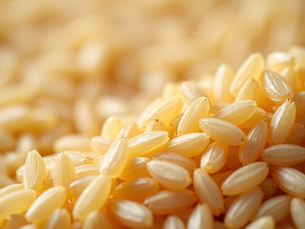 Riso Piemontese: Le Migliori Varietà per un Risotto Perfetto