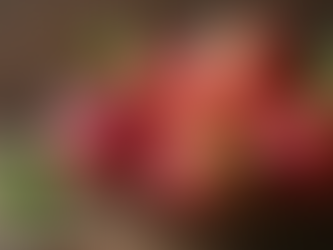 Torta di mele renette: guida pratica per scegliere le varietà perfette per il tuo dolce