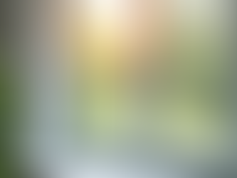 Perché Cambiare gli Infissi è Fondamentale per la Tua Casa