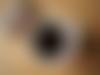 Scopri perché i Paper Pods sono la rivoluzione sostenibile che stavi aspettando