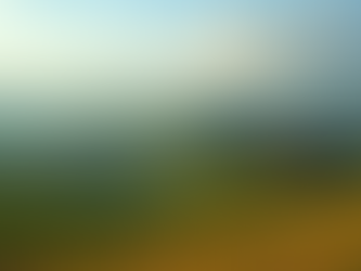 Esplorando la cucina delle Langhe dai piatti tipici ai vini e tradizioni delle colline piemontesi