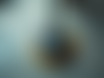 Lavasciuga e Monospazzole: Guida all'Utilizzo e Impatto sul Risultato Finale