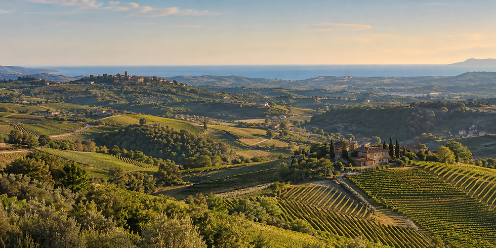 Vista panoramica delle colline del Monferrato con il mare all'orizzonte