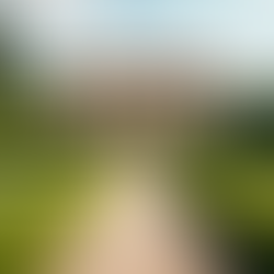 Matrimoni a Torino: Scopri le Location Ideali per un Giorno Indimenticabile