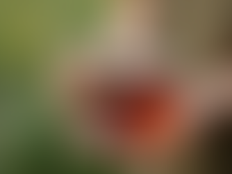 Scopri come valutare il potenziamento del tuo sistema immunitario in modo sicuro e naturale