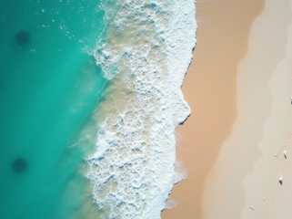 Quando Andare a Boa Vista Scopri il Mese Ideale per Clima Mare e Avventure