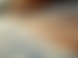 Perché un Buon Isolamento del Tetto Può Farci Risparmiare Energia e Denaro