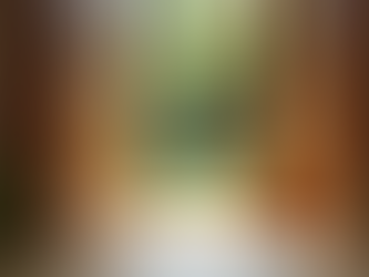 Serramenti Interno Esterno Design: Come Scegliere Finiture e Colori per Armonizzare Giardini e Terrazze