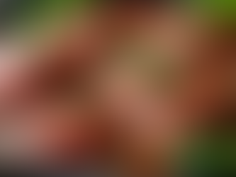 La marinatura come esperienza sensoriale e il potere del tempo nella cucina