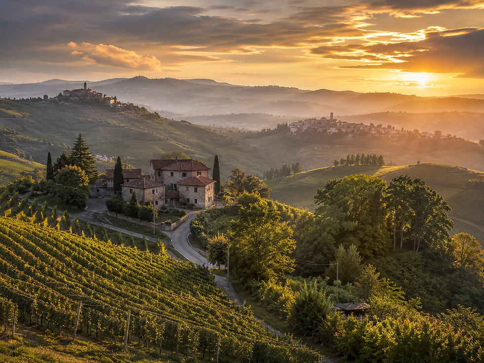 Vista panoramica delle colline dell'Alto Monferrato con vigneti e borghi
