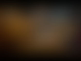 ELEMENTS OF THE SPAR BAR