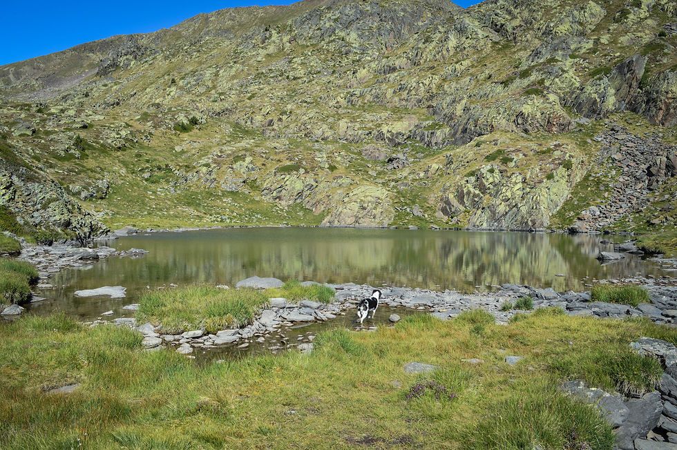 Estanys de la Vall del Riu