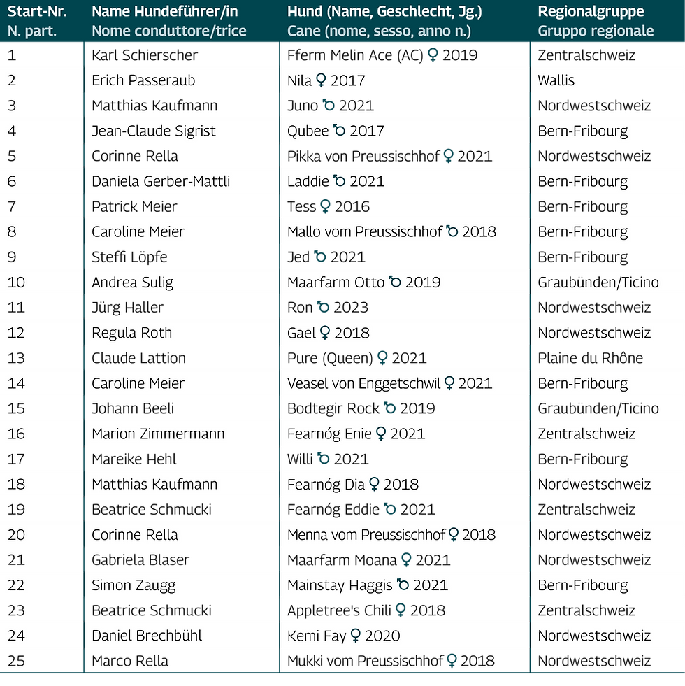 250923_SM-Huetehunde-25_Startliste-Samstag-Klasse3.png