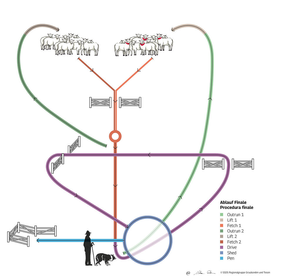 SSDS PL SchemaPruefung-Finale 250908-web.jpg