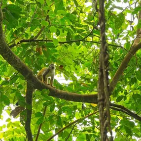 Learning Spanish in Costa Rica: The Journey Begins