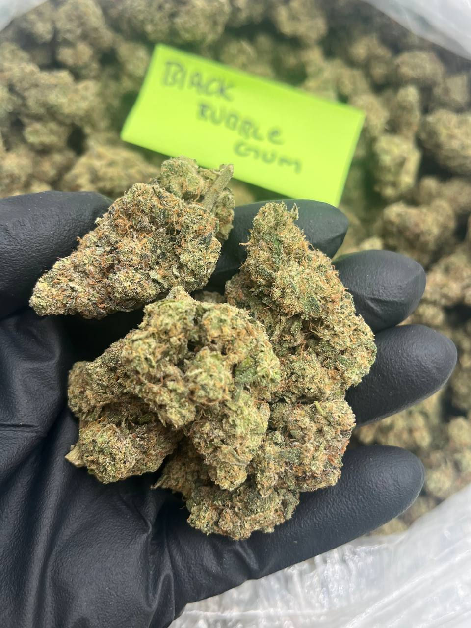 BLACK BUBBLEGUM BALANCE HYBRID 50/50 9.4