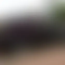 Ozzy Osbourne's Family Says Final Goodbye to Legendary Rocker in Emotional Funeral Procession