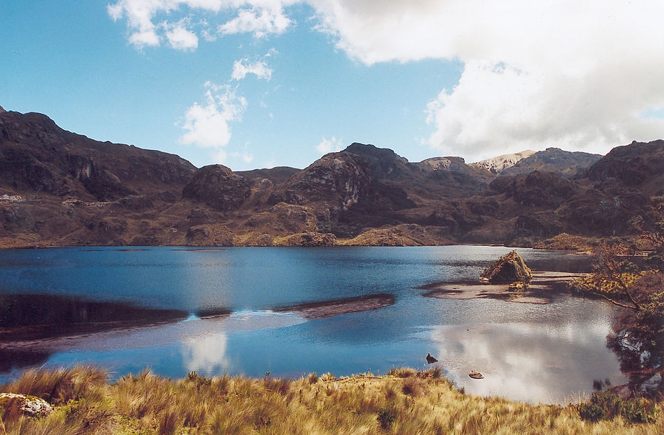Ecuador_cajas_national_park.jpg
