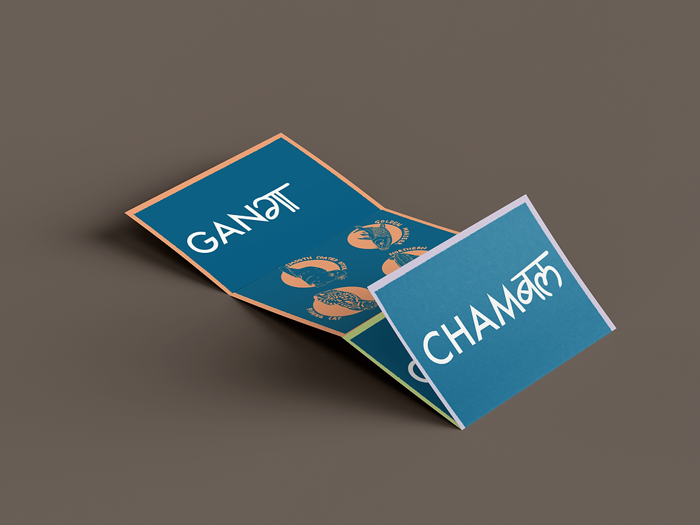 brochure mockup 2.png