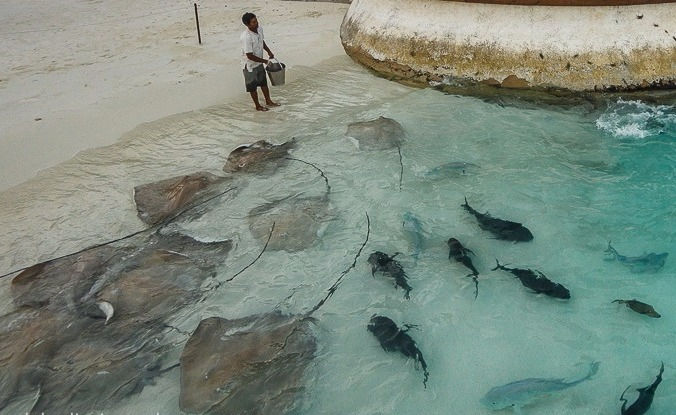 02_20141115_maldives_291_edited_edited