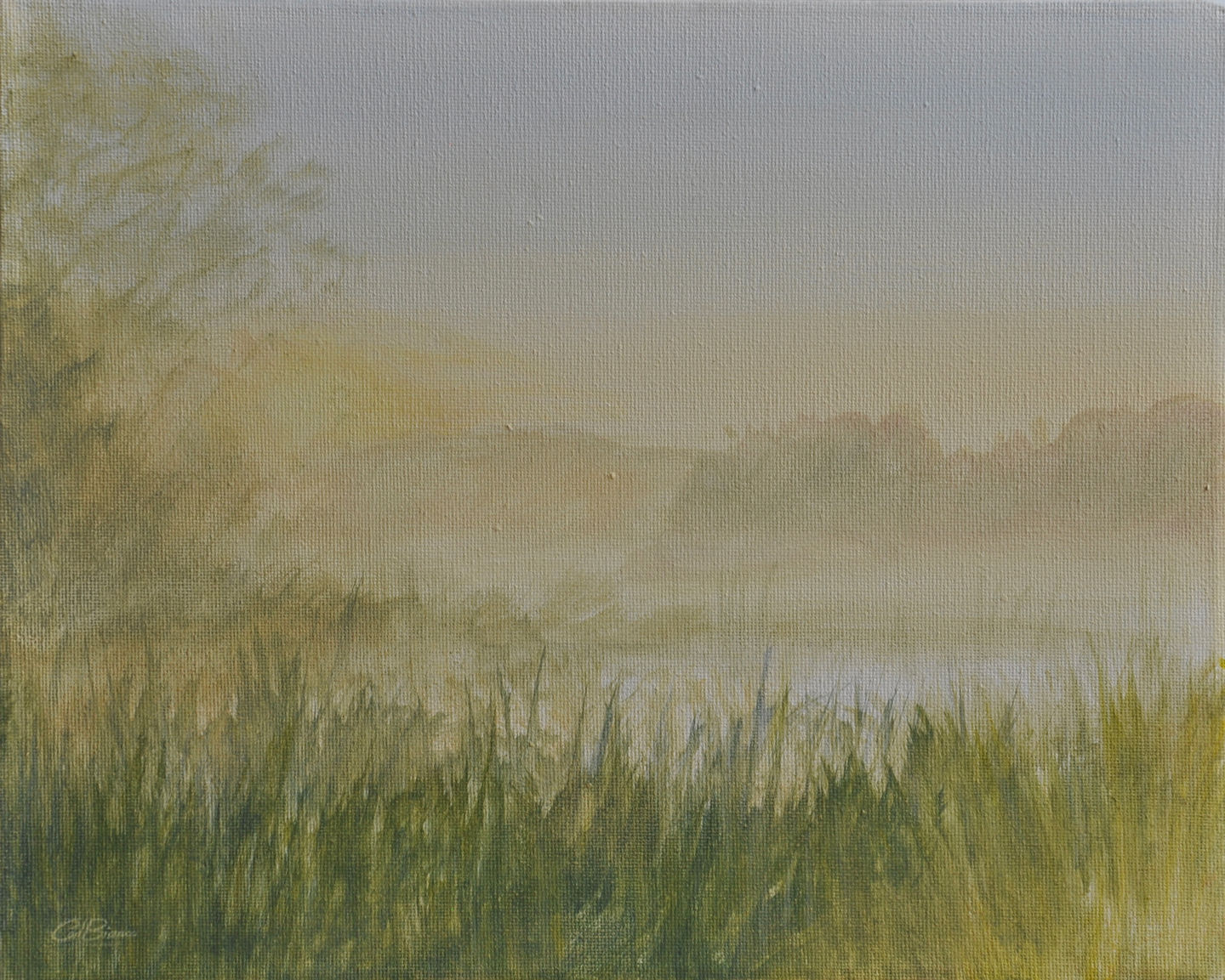 Dawn mist below Hartslock, Goring