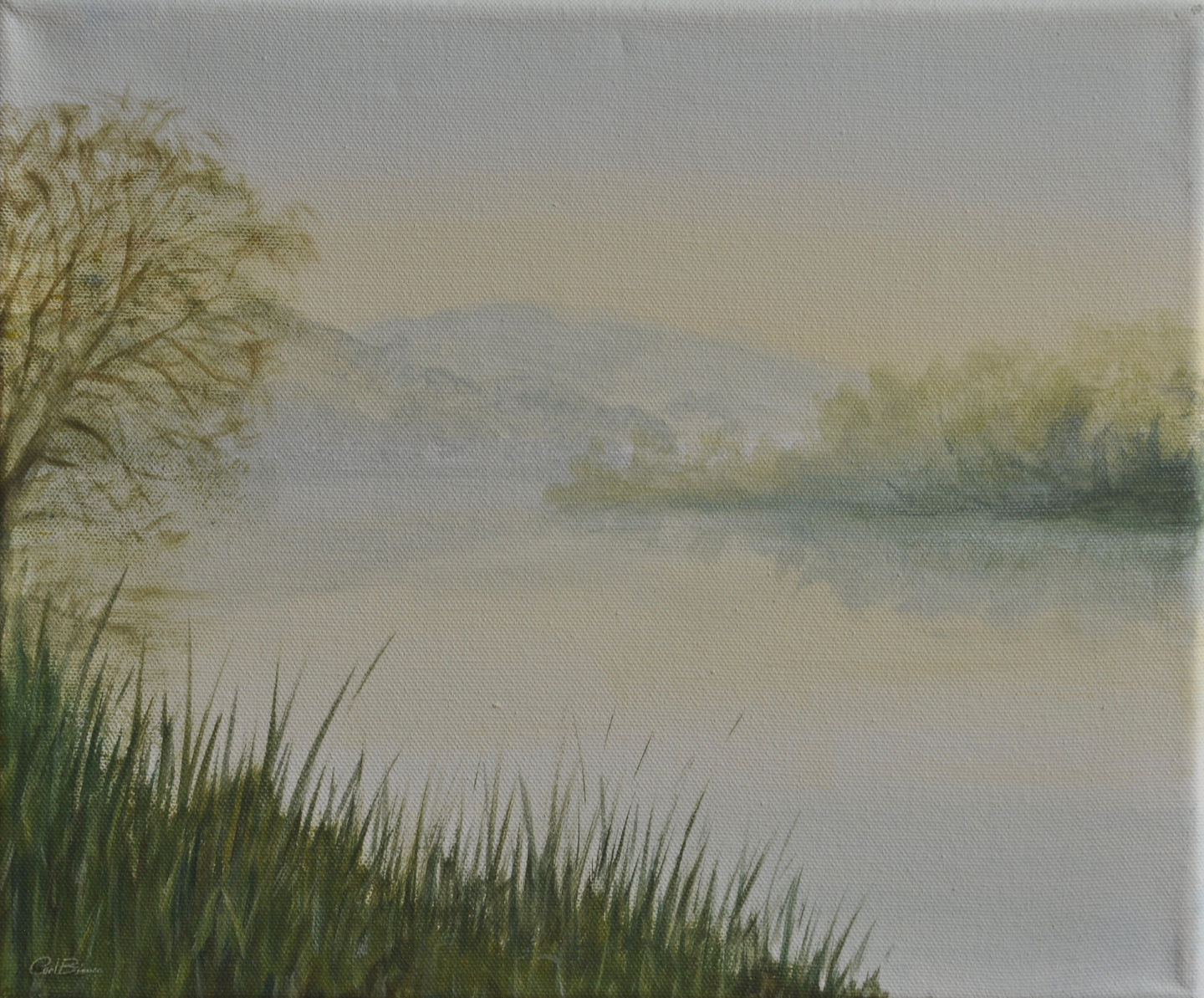 Spring morning near Hartslock, Goring