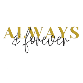 Angeline Studios (2).png