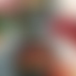 LEICHTES TIRAMISU - Zyklusfood für die Follikel- & Lutealphase gluten- & milchfrei