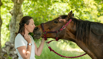 DSC_1940-Edit.jpg