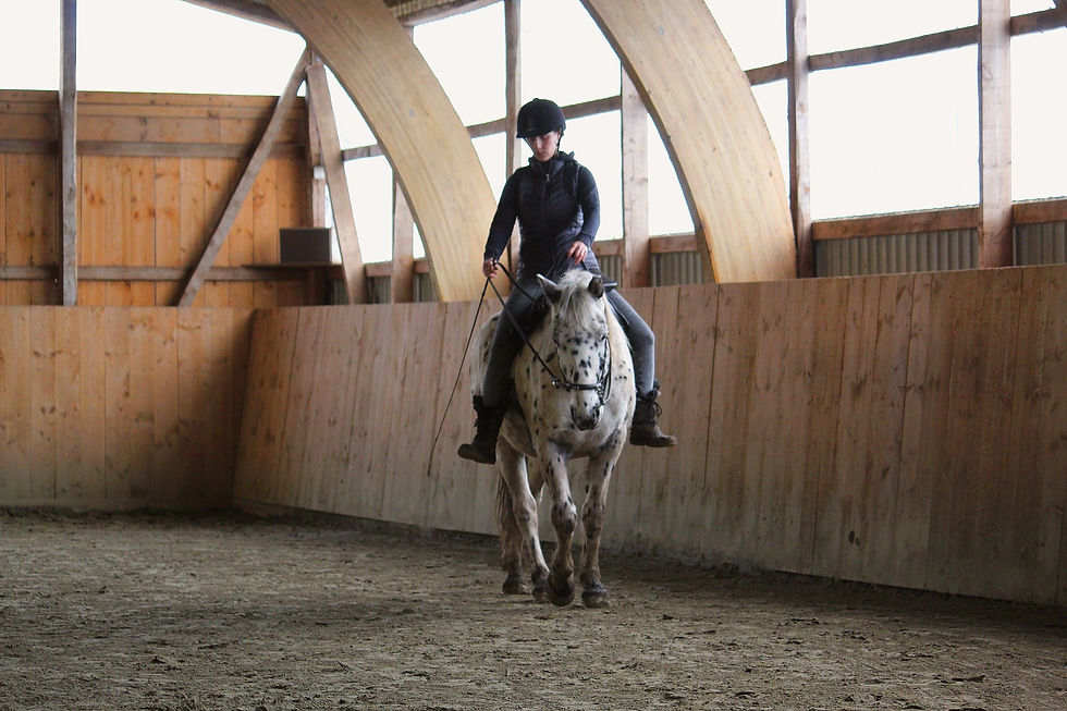 Nikitas_Way_Johanna_Menninga_Reitunterricht