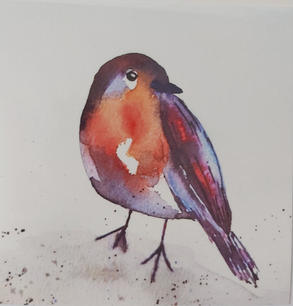 Robin.jpeg
