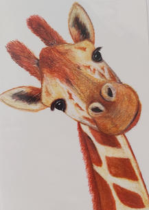 Giraffe.jpeg