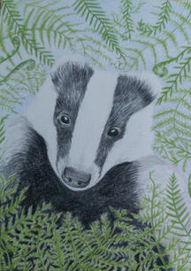 Bernard the Badger.jpg